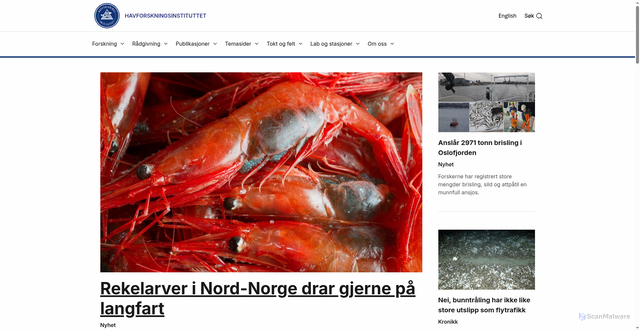Security scan screenshot of https://hi.no