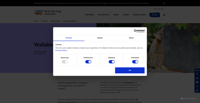 Security scan screenshot of https://www.bushheritage.org.au/species/wallabies?srsltid=AfmBOor_GbB2E9r-ceDAOPiRgxE6Ya3cnFO872C3SfSeupxnwaW8FaEt