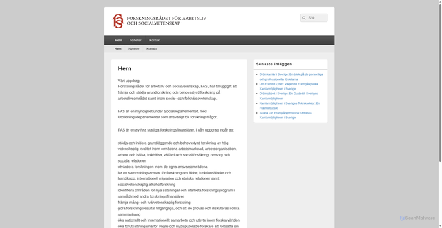 Security scan screenshot of https://fas.se/