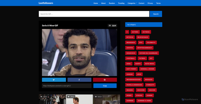 Security scan screenshot of https://bulkspoon.com/serie-a-wow-gif-2/