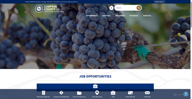 Security scan screenshot of https://lumpkincounty.gov/