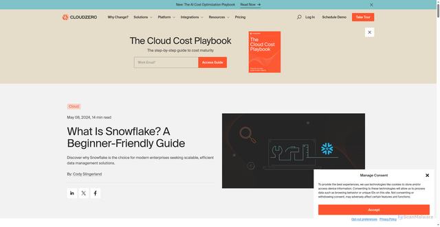 Security scan screenshot of https://www.cloudzero.com/blog/what-is-snowflake/