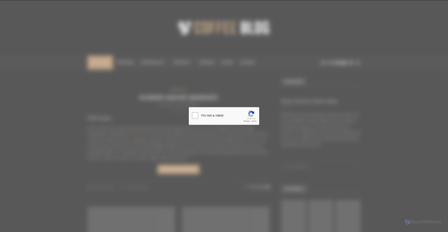 Security scan screenshot of https://zeynelozyasar.com