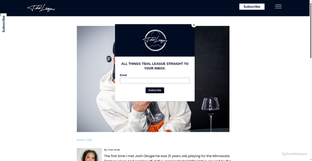 Security scan screenshot of https://www.tidalleague.com/blog-posts/josh-okogie-run-your-race