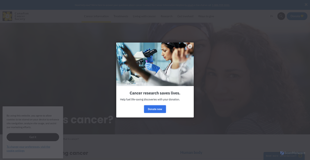 Security scan screenshot of https://cancer.ca/en/cancer-information/what-is-cancer