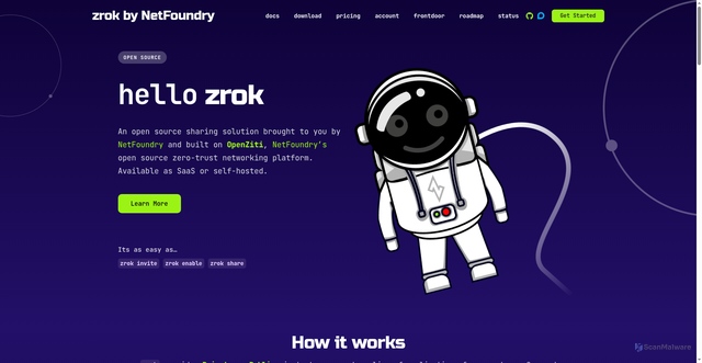 Security scan screenshot of https://zrok.io/
