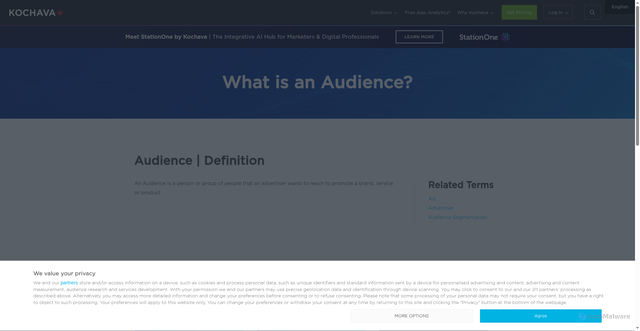 Security scan screenshot of https://www.kochava.com/glossary/audience/