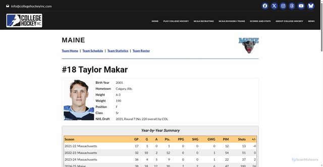 Security scan screenshot of https://collegehockeyinc.com/players/career/57988