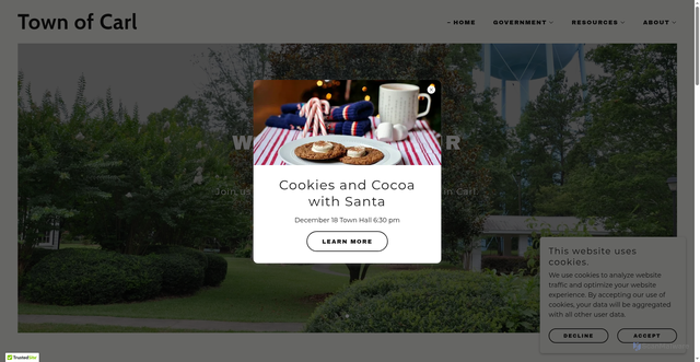 Security scan screenshot of https://townofcarl.gov/