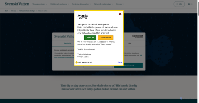 Security scan screenshot of https://xn--vrldsvattendagen-vnb.se