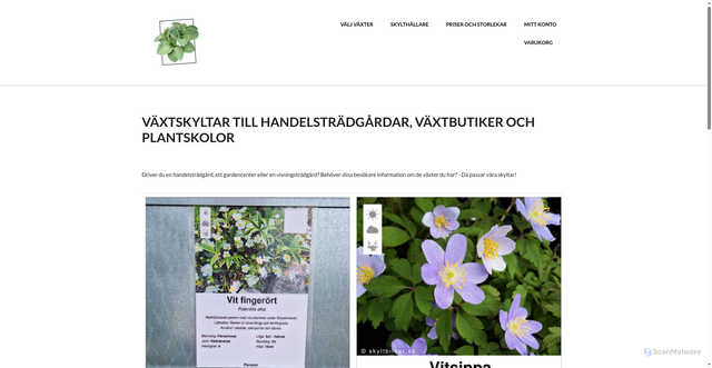 Security scan screenshot of https://skyltbilder.se