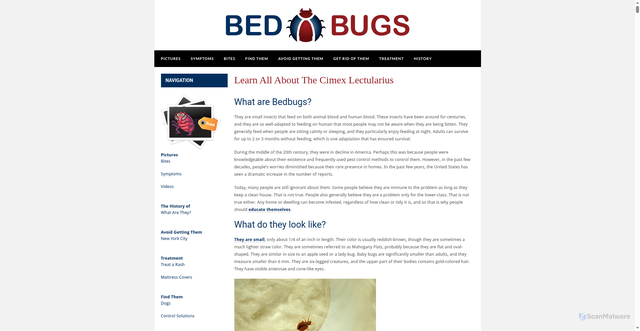 Security scan screenshot of https://www.bedbugs.org/