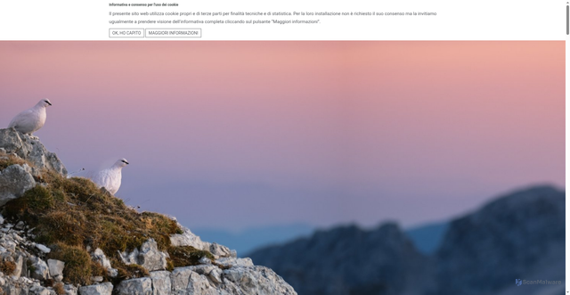 Security scan screenshot of https://www.parcoprealpigiulie.it/it/