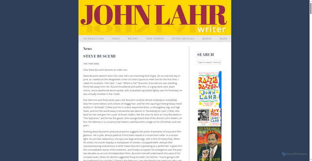 Security scan screenshot of https://johnlahr.com/steve-buscemi/