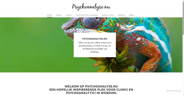 Security scan screenshot of https://psychoanalyse.nu