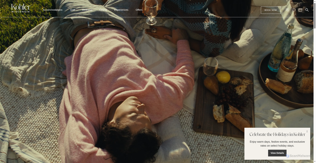 Security scan screenshot of https://www.kohlerwisconsin.com