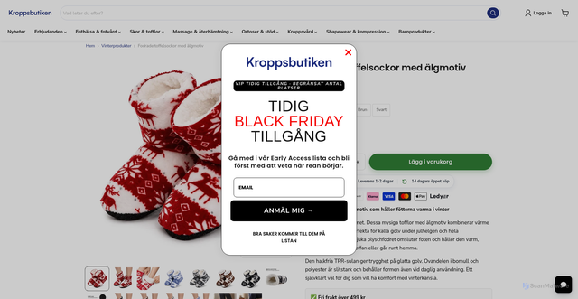 Security scan screenshot of https://kroppsbutiken.se/collections/vinterprodukter/products/innetofflor-med-algmotiv