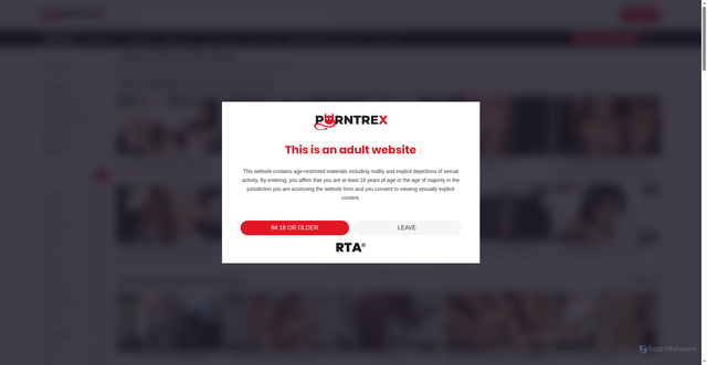 Security scan screenshot of https://porntrex.com