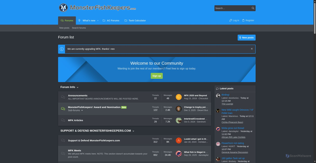 Security scan screenshot of https://www.monsterfishkeepers.com