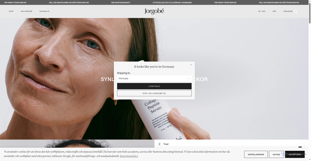 Security scan screenshot of https://jorgobe.se