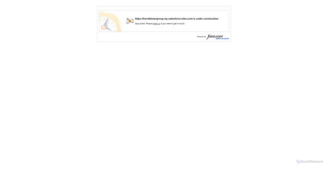 Security scan screenshot of https://hornblowergroup.my.salesforce-sites.com