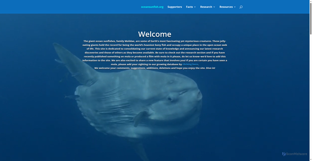 Security scan screenshot of https://oceansunfish.org/