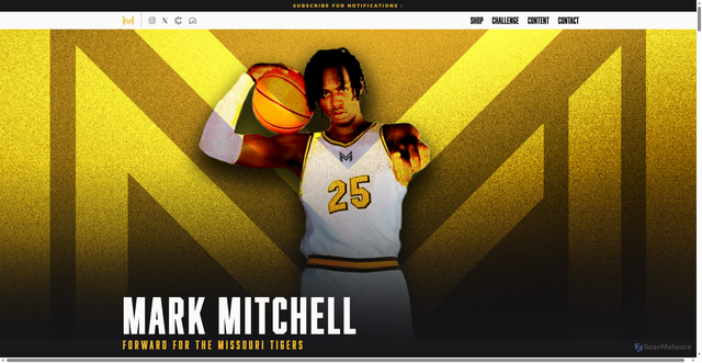 Security scan screenshot of https://themarkmitchell.com/