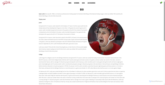 Security scan screenshot of https://dylan-larkin.myshopify.com/pages/bio