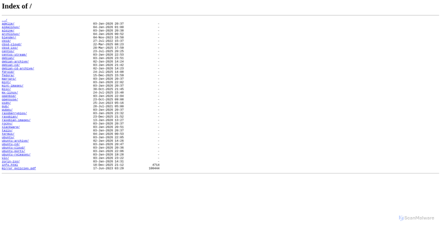 Security scan screenshot of https://plug-mirror.rcac.purdue.edu