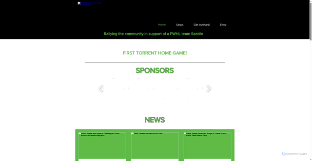 Security scan screenshot of https://www.womensprohockeyseattle.com/