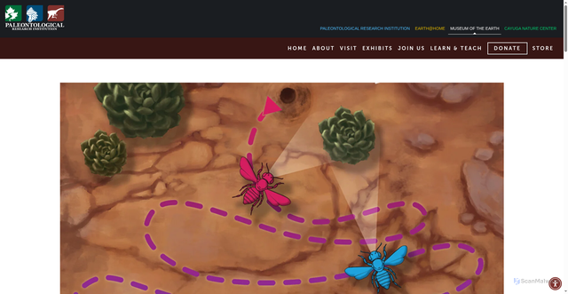 Security scan screenshot of https://www.museumoftheearth.org/bees/behavior
