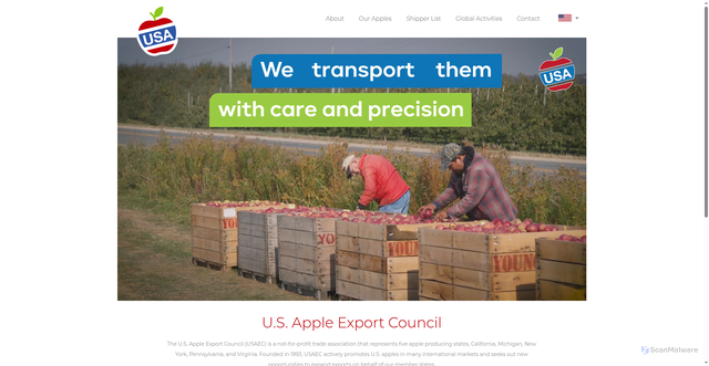Security scan screenshot of http://usaapples.com/