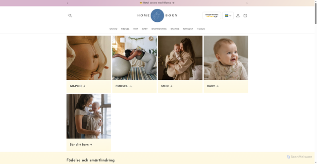 Security scan screenshot of https://homeborn.se