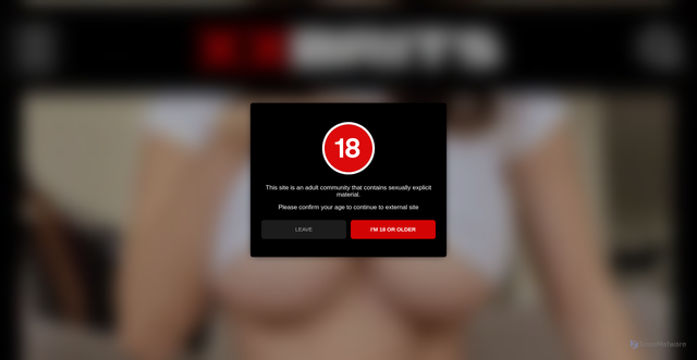 Security scan screenshot of https://mojdestylator.pl/sport/themen/br-volleys