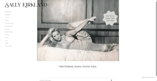 Security scan screenshot of https://www.sallykirkland.com/