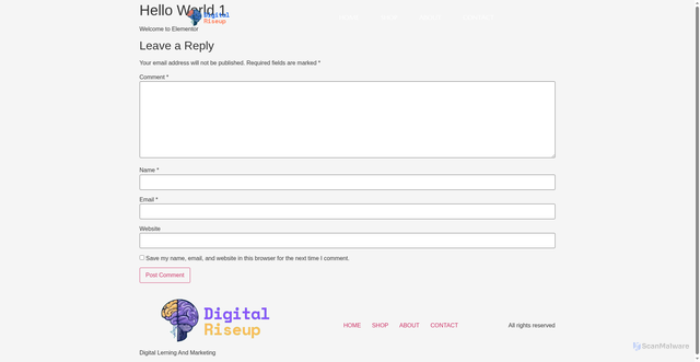 Security scan screenshot of https://digitalriseup.online/hello-world-1/