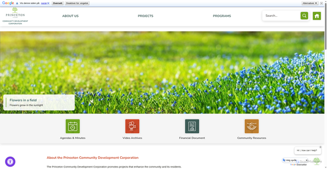 Security scan screenshot of https://www.princetontx.gov/cdc