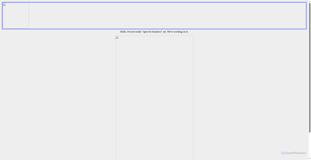 Security scan screenshot of http://nedlivingston.com/