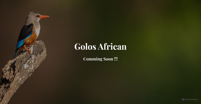 Security scan screenshot of http://golosafrican.com/
