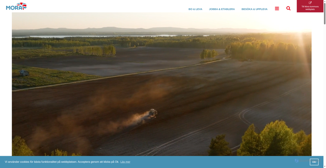 Security scan screenshot of https://mora.se/