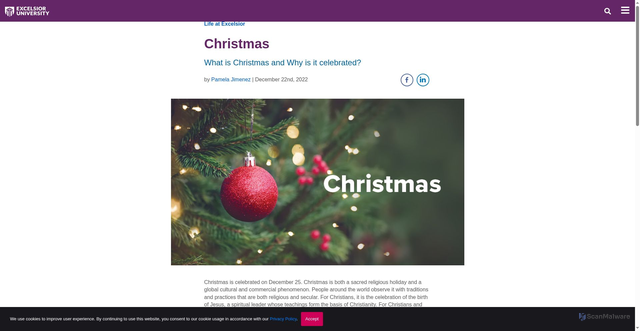 Security scan screenshot of https://www.excelsior.edu/article/what-is-christmas/