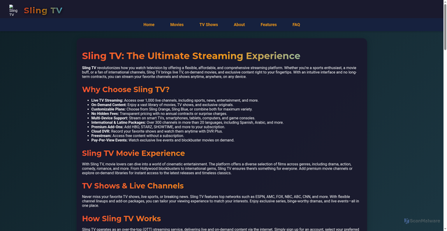 Security scan screenshot of https://sling-tv.bitbucket.io/