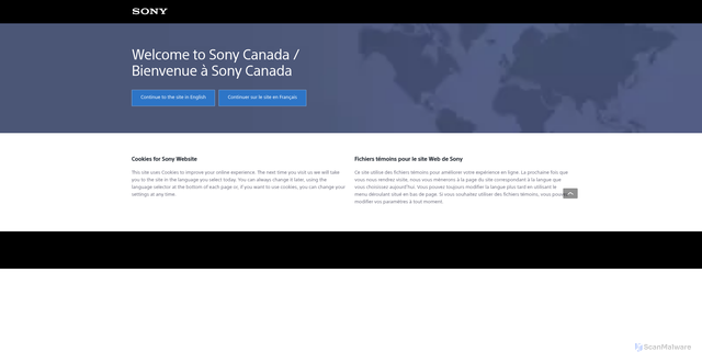 Security scan screenshot of https://www.sony.ca
