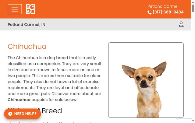 Security scan screenshot of https://petlandcarmel.com/breed/chihuahua/