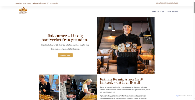 Security scan screenshot of https://sarafinasbakskola.se