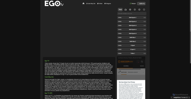 Security scan screenshot of http://silbastan.pages.dev/