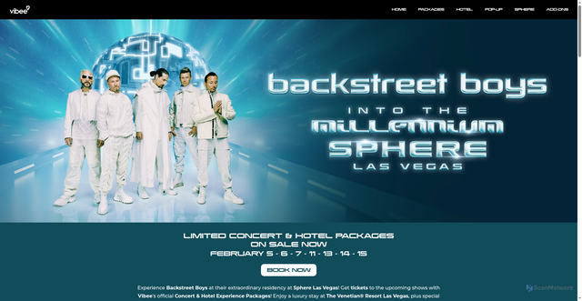 Security scan screenshot of https://backstreetboys.vibee.com/