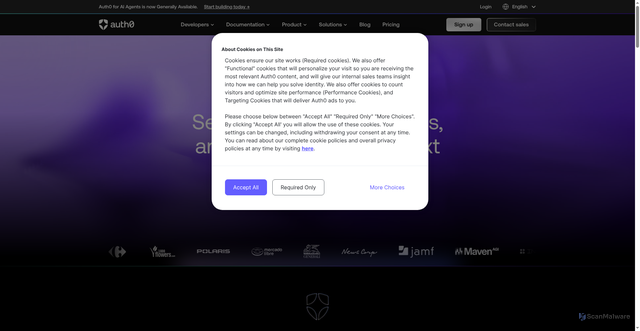 Security scan screenshot of https://coolbluecloud.auth0.com