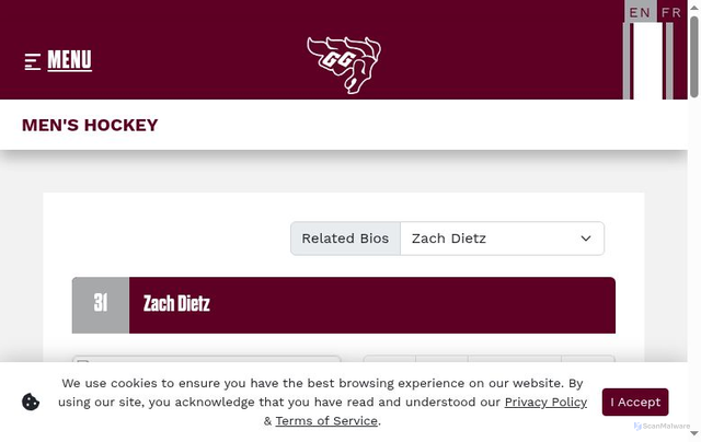 Security scan screenshot of https://teams.geegees.ca/sports/mice/2025-26/bios/dietz_zach_8xj7