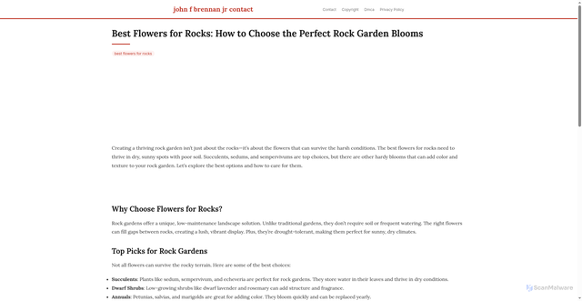 Security scan screenshot of https://aksarasantaisphere-dpc9bj3xyvxw.edgeone.app/best-flowers-for-rocks.html